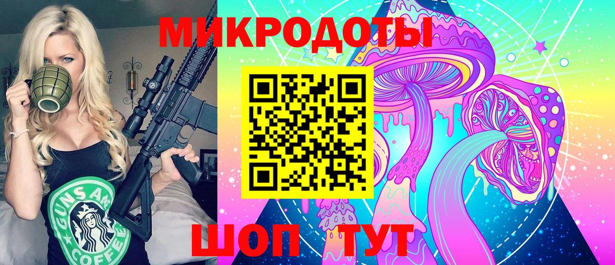 Псилоцибиновые грибы Psilocybine cubensis Шадринск
